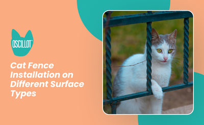 Cat Fence Installation on Different Surface Types