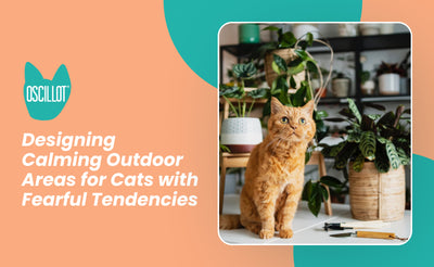 Designing Calming Outdoor Areas for Cats with Fearful Tendencies