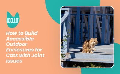 How to Build Accessible Outdoor Enclosures for Cats with Joint Issues