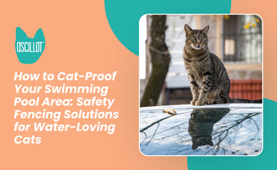 How to Cat-Proof Your Swimming Pool Area: Safety Fencing Solutions for Water-Loving Cats