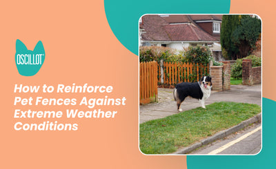 How to Reinforce Pet Fences Against Extreme Weather Conditions