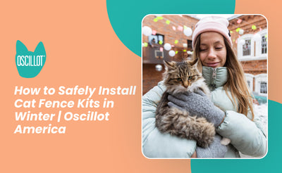 How to Safely Install Cat Fence Kits in Winter | Oscillot America