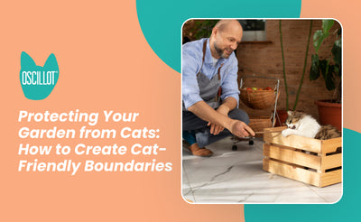 Protecting Your Garden from Cats: How to Create Cat-Friendly Boundaries