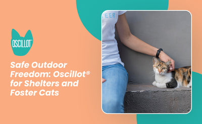 Safe Outdoor Freedom: Oscillot® for Shelters and Foster Cats