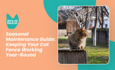 Seasonal Maintenance Guide: Keeping Your Cat Fence Working Year-Round
