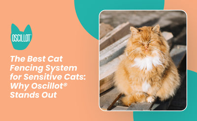 The Best Cat Fencing System for Sensitive Cats: Why Oscillot® Stands Out