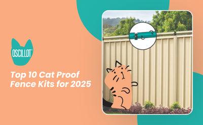 Top 10 Cat Proof Fence Kits for 2025