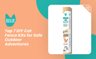 Top 7 DIY Cat Fence Kits for Safe Outdoor Adventures
