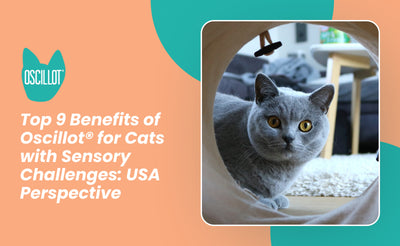 Top 9 Benefits of Oscillot® for Cats with Sensory Challenges: USA Perspective